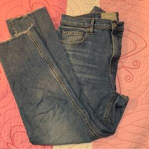 Everlane Denim Cheeky Jeans